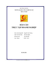 Báo cáo thực tập tại tập đoàn khkt hồng hải