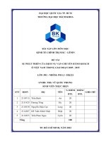 Sự phát triển của dịch vụ vận chuyển hành khách ở việt nam trong giai đoạn 2005   2015