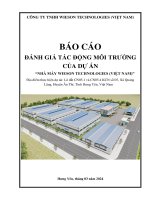 BÁO CÁO ĐÁNH GIÁ TÁC ĐỘNG MÔI TRƯỜNG CỦA DỰ ÁN “NHÀ MÁY WIESON TECHNOLOGIES (VIỆT NAM)”