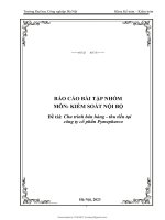 Báo cáo bài tập kiểm soát nội bộ   đề tài chu trình bán hàng   thu tiền tại công ty cổ phần pymepharco