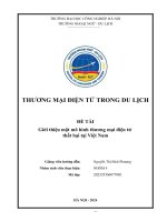 Thương mại điện tử trong du lịch đề tài giới thiệu một mô hình thương mại điện tử thất bại tại việt nam
