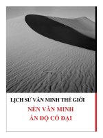 Tiểu Luận - Lịch Sử Văn Minh Thế Giới - Đề Tài - Nền Văn Minh Ấn Độ Cổ Đại
