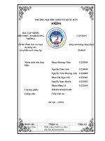 Đề tài phân tích các hoạt động marketing đang được áp dụng cho sản phẩm nước tăng lực redbull