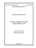 Luận văn thạc sĩ Luật học: Xử phạt vi phạm hành chính trong lĩnh vực y tế