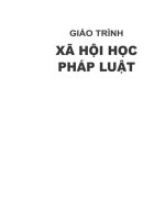 Giáo trình Xã hội học pháp luật - Trường Đại học Luật Hà Nội. Ngọ Văn Nhân chủ biên, Phan Thị Luyện