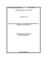Luận văn thạc sĩ Luật học: Pháp luật về chống lẩn tránh biện pháp phòng vệ thương mại ở Việt Nam