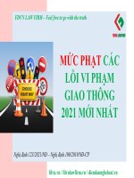 Tiểu luận mức phạt các lỗi vi phạm giao thông 2021 mới nhất dành cho xe máy