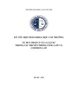 Kỷ yếu hội thảo khoa học cấp Trường: Tư duy pháp lý của luật sư trong các truyền thống Civil law và Common law