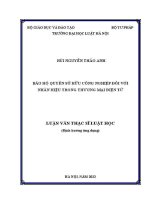 Luận văn thạc sĩ Luật học: Bảo hộ quyền sở hữu công nghiệp đối với nhãn hiệu trong thương mại điện tử