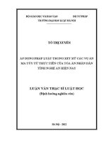 Luận văn thạc sĩ Luật học: Áp dụng pháp luật trong xét xử các vụ án ma tuý từ thực tiễn của Toà án nhân dân tỉnh Nghệ An hiện nay