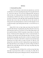 Luận án TS QLĐTCT - Quản lý không gian, kiến trúc, cảnh quan đô thị ven biển Tỉnh Quảng Ninh