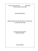 Luận văn thạc sĩ Luật học: Biện pháp khẩn cấp tạm thời trong tố tụng dân sự và thực tiễn thực hiện