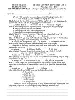 Đề giao lưu môn tiếng việt lớp 4