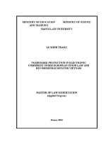 Luận văn thạc sĩ luật học: Bảo hộ nhãn hiệu trong thương mại điện tử theo pháp luật Liên minh Châu Âu và khuyến nghị đối với Việt Nam