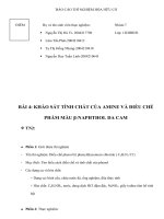 Bài 4 khảo sát tính chất của amine và điều chế phẩm màu β naphthol da cam