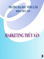 Bài Giảng  Marketing Thủy Sản ( Combo Full Slides 9 Chương )