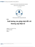 Tiểu luận ảnh hưởng của pháp luật đối với thương mại điện tử