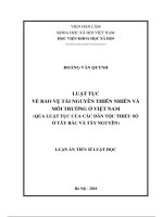 Luận án tiến sĩ luật học luật tục về bảo vệ tài nguyên thiên nhiên và môi trường ở việt nam (qua luật tục của các dân tộc thiểu số ở tây bắc và tây nguyên