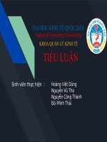 Vận dụng lý thuyết để phân tích thực trạng và cam kết thực thi các thể chế kinh tế trong quản lý nhà nước đối với một ngành cụ thể hiện nay ở Việt Nam?