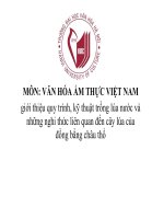 Tiểu Luận - Văn Hóa Ẩm Thực Việt Nam - Đề Tài - Giới Thiệu Quy Trình, Kỹ Thuật Trồng Lúa Nước Và Những Nghi Thức Liên Quan Đến Cây Lúa Của Đồng Bằng Châu Thổ