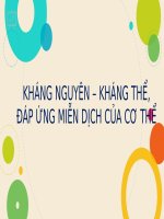 Kháng nguyên  kháng thể đáp ứng miễn dịch của cơ thể