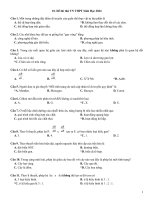 De 10 minh hoa sinh 2024