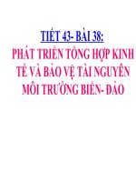 Bai 38 phat trien tong hop kinh te va bao ve tai nguyen moi truong bien  dao