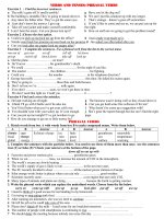 Verbs and tense + phrasal verbs