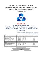 Tiềm năng ứng dụng thực vật trong xử lý môi trường bị ô nhiễm kim loại nặng