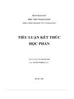 Tiểu luận kết thúc học phần các quan niệm về tự do và cách hiểu về tự do trong tư tưởng chính trị việt nam