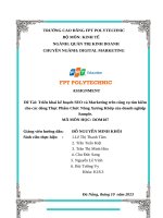 Triển khai kế hoạch seo và marketing trên công cụ tìm kiếm cho các dòng thực phẩm chức năng xương khớp của doanh nghiệp sample