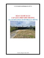 BÁO CÁO ĐỀ XUẤT CẤP GIẤY PHÉP MÔI TRƯỜNG của CƠ SỞ CHĂN NUÔI HEO ÚT HÙNG