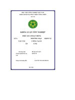 Phân tích hiệu quả hoạt động kinh doanh của hƣơng mại dịch vụ vận tải tùng dƣơng tại xã đình dù, huyện văn lâm, tỉnh hƣng yên