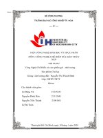 CÔNG NGHỆ CHẾ BIẾN CÁC SẢN PHẨM GEL NHŨ TƯƠNG, CHẢ LỤA