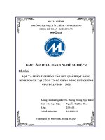 LẬP VÀ PHÂN TÍCH BÁO CÁO HOẠT ĐỘNG KINH DOANH TẠI CTCP ĐỒNG PHÚ CƯỜNG  GIAI ĐOẠN 20202022