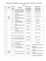 Nội dung tích hợp lí tưởng cách mạng  đđls lớp 2 (1) (1)