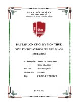 Bài tập lớn cuối kỳ môn thuế công ty cổ phần bóng đèn điện quang (hose dqc)
