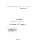 Tiểu luận quản lí môi trường hiện trạng phát sinh và công tác qlmt đối với chất thải rắn sinh hoạt ở nông thôn