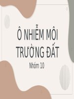 Ô nhiễm môi trường đất