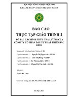 Báo cáo thực tập giáo trình 2 đề tài các hình thức trả lương của công ty cổ phần đầu tư phát triển bắc bình
