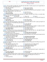 De 11 gdcd minh hoa 2024