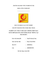 Nghiên cứu tối ưu hoá quá trình chiết rau đắng biển(bacopa monnieri) được trồng tại thanh hoá