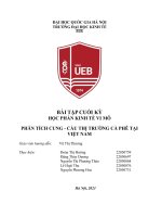 Bài tập cuối kỳ học phần kinh tế vi mô phân tích cung   cầu thị trường cà phê tại việt nam