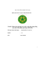 Phân tích tình hình sản xuất và tiêu thụ rừng trồng sản xuất ở hòa bình, giai đoạn 2020 2022