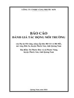 BÁO CÁO ĐÁNH GIÁ TÁC ĐỘNG MÔI TRƯỜNG của Dự án Mở rộng, nâng cấp khu Bãi Gõ và Bãi Đất, mỏ vàng Đăk Sa, huyện Phước Sơn, tỉnh Quảng Nam Địa điểm: Xã Phước Đức và xã Phước Năng, huyện Phước Sơn, tỉnh Quảng Nam