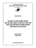 Tác động của tăng trưởng kinh tế, tiêu thụ năng lượng và vốn đầu tư nước ngoài  đến mật độ carbon dioxide đối với phúc lợi con người