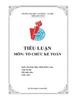 Tiểu luận môn tổ chức kế toán