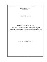 Nghiên cứu ứng dụng liệu pháp CAR-T trong điều trị bệnh lơ xê mi cấp dòng lympho tiền lâm sàng
