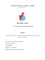 Bài tiểu luận lý thuyết bảo hiểm xã hội chủ đề phân tích các nguyên tắc cơ bản của bảo hiểm xã hội và ứng dụng các nguyên tắc này tại việt nam