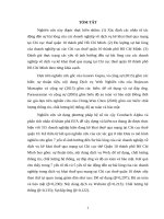 Luận văn ThS QTKD - Các yếu tố tác động đến ý định chọn cơ quan hành chính Nhà nước để làm việc của sinh viên năm cuối ở các trường Đại học tại Thành phố Hồ Chí Minh